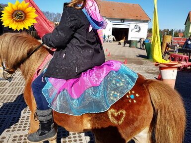 Kindertag Ponyhof